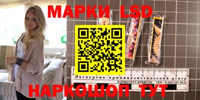 гашик Новокубанск