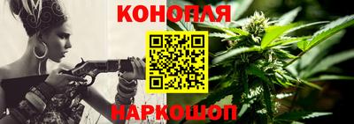 гашик Новокубанск
