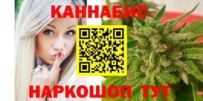 гашик Новокубанск