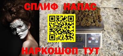 гашик Новокубанск