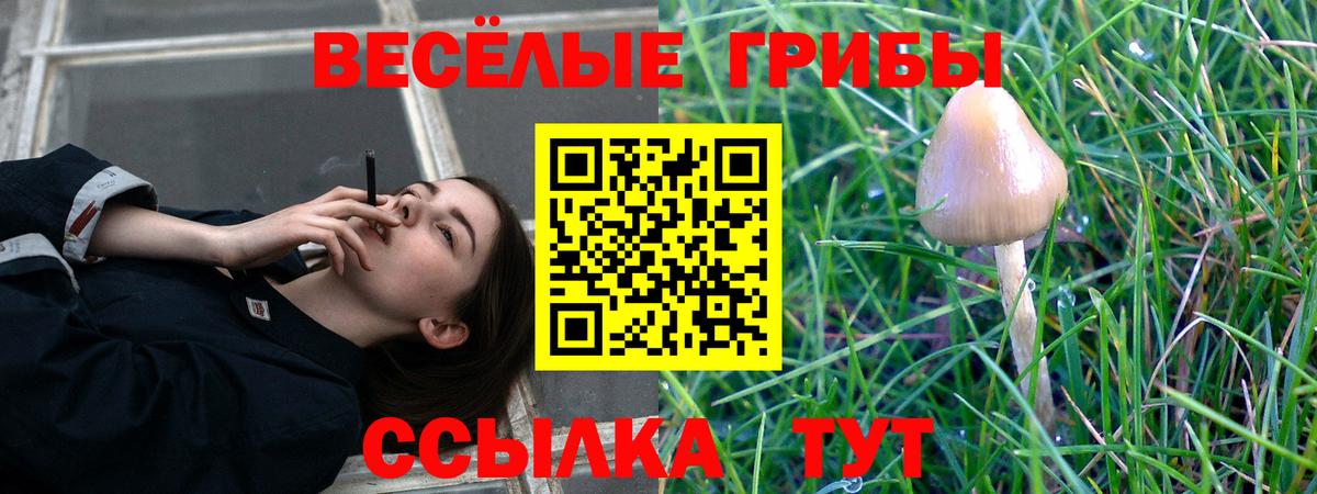 Заринск  Псилоцибиновые грибы мицелий  Вход с VPN  Псилоцибиновые грибы ЛСД 